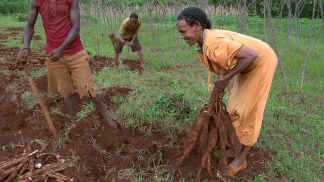 Working Together to Grow a Green Economy смотреть онлайн