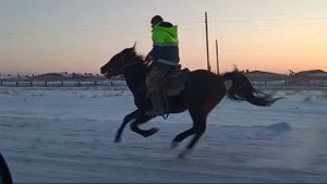 зимой на жеребце!