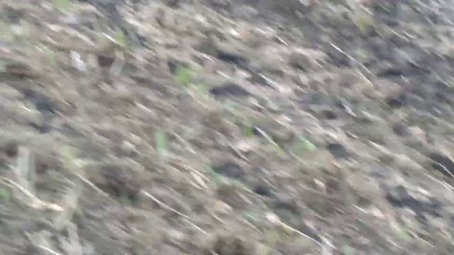 21.04.21 культивация чеснока смотреть онлайн