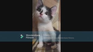 Часть 3! Они все были рождены на улице или в подвалах... Но вытянули свои счастливые билетики