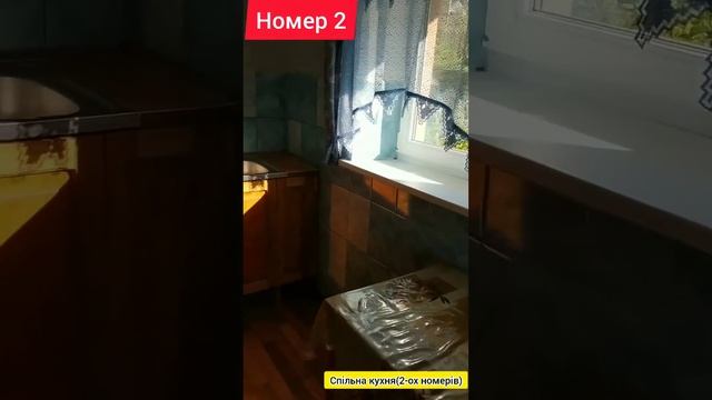 Номер 2 "Незабудка" курорт Східниця