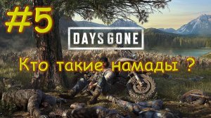 Прохождение Days Gone №5