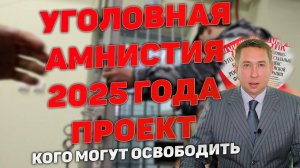 Уголовная амнистия 2025 года. Кого могут освободить от наказания. Распространяется ли на наркотики.