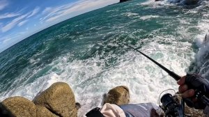 Корифена. Морская рыбалка с берега в Южной Корее