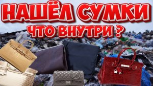 Я потратил 30 дней на поиски потерянных сумок и нашел ЭТО!