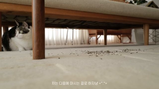 12월 집의 일상 + 룸투어(또 하나의 거실 인테리어) смотреть онлайн