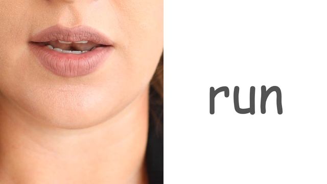 DOLCH WORD LIST | Pre-Primer Dolch Words: Review and Practice! смотреть онлайн