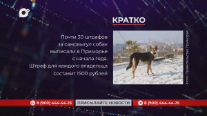 Кратко / 18.02.25 / Вечер