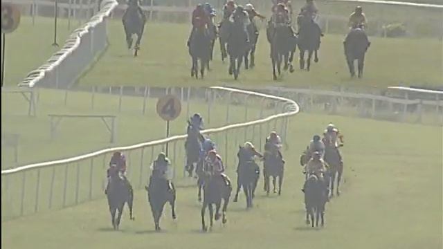 Rhapsidion Rose with Azfar Syeed up wins The Honest Lover Plate 2018 смотреть онлайн