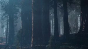 Красивая Музыка Для Души Индейская Флейта - Музыка для Релаксации и Успокоения