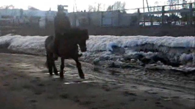 Àlfur fra Blöndùosi - del 2 смотреть онлайн