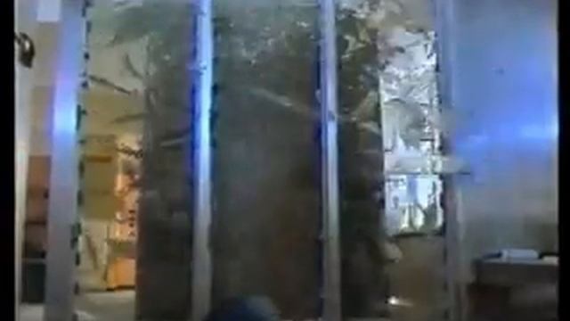 cynthia rothrock-Blonde Fury2 смотреть онлайн