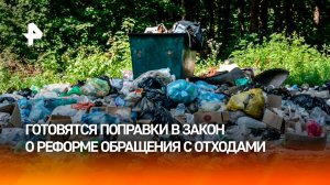 Ответственность за чистоту площадок для мусора передадут региональным операторам