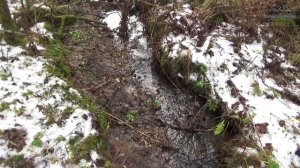 Ручей лесной (часть вторая)