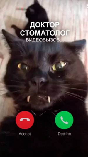 Где-то в параллельной Вселенной даже коты уже ставят виниры 😹 | Стоматология ПрезиДЕНТ💚