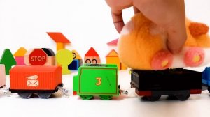 PUI PUI Molcar and M&M Train / PUI PUI モルカー / 天竺鼠車車/ Guinea Pig car