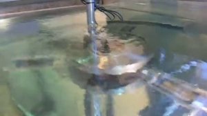 Установка ультразвукового контроля дисков УКД-3М