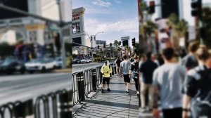 Американский трип