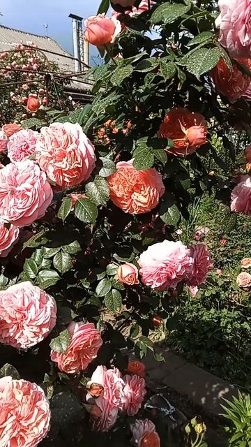 14 мая 2024 г. смотреть онлайн