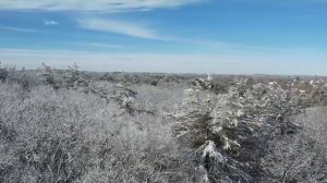 НОВАЯ ЧЕЧЕНСКАЯ ПЕСНЯ. Ва хьо йоцуш муха 1ир ву, 2024