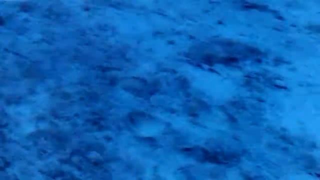 капуста лучше чем морковь (наоборот) смотреть онлайн