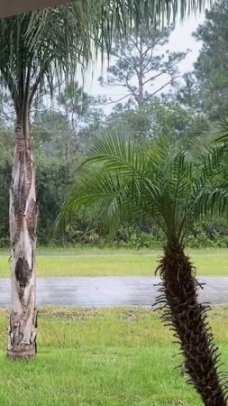 Palm Coast Florida thunderstorm