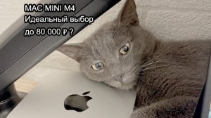 Mac mini m4 обзор через 2 месяца использования, покупаем или нет?