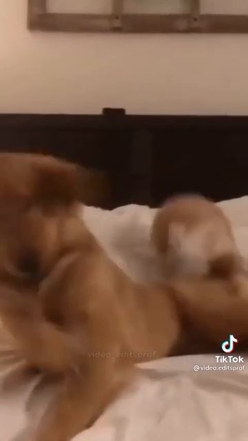 ВКЛЮЧИ КОГДА БУДЕТ ГРУСТНО 😟 смотреть онлайн