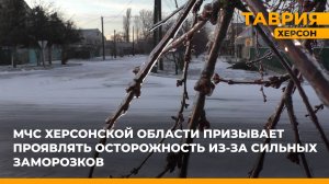 МЧС Херсонской области призывает проявлять осторожность из-за сильных заморозков