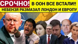 В ООН ВСЕ ВСТАЛИ! Вы кто такие тут! Небензя Размазал  Британию и Европу в Пух и Прах!