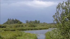 Иеромонах Роман. «Пойду за поля, в перелески...»