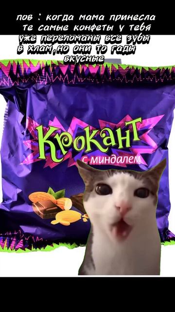 Дааа,у меня из-за этих конфет все все зубы поломались |#shorts #жиза #крокант #рек #подпишись #meme смотреть онлайн