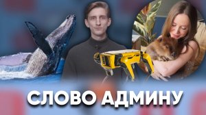 Хоровод из спецмашин, кит-людоед и агрессивные роботы-собаки / «Слово админу»