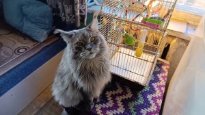 Маруся и Кеша