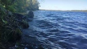 Днепр. Натуральные звуки природы
