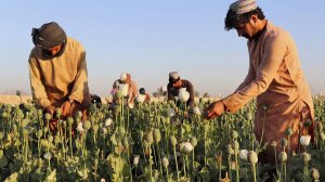 Страны в которых произойдут важные события в 2025
Афганистан