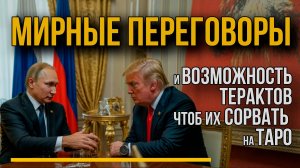 Путин и Трамп: Мирные переговоры. Новая волна терактов в России – расклад Таро