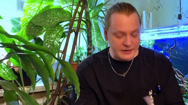 ТОП 4  УЛЬТРА БЮДЖЕТНЫХ АРОМАТА НА ЛЕТО .Цитрусы, зелень, уд и специи.