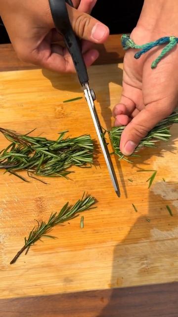 Como enraizar esquejes de Romero Fácilmente #shorts смотреть онлайн