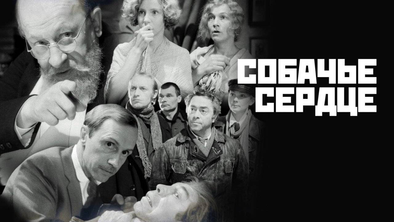 М.А. Булгаков «Собачье сердце»