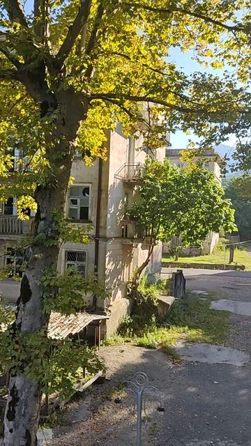 Чистейший воздух в Абхазии. Акармара.