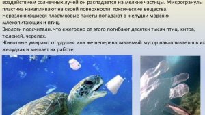 Белов Егор, ГБОУ ООШ №4 ДС "ЖАР-ПТИЦА",г.о. Самара