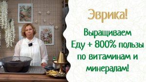 Телезвезда Марина Рыкалина выращивает суперполезную Еду +800% пользы! Ура, будем здоровы!!!