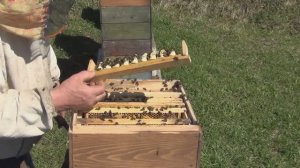 Вывод маток