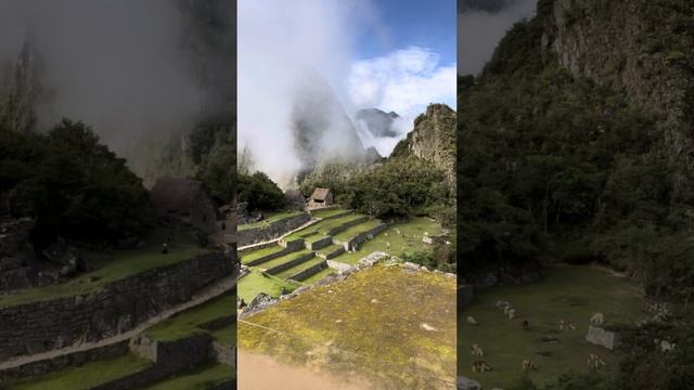 Практика наполнения силой и энергией смотреть онлайн