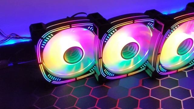 VID_20250218125753