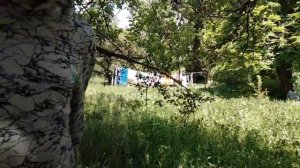 СНЮСОЕДЫ ОТ ДО И Я| #6 ЛУГОВОЙ КАРУСНЫЙ СНЮСОЕД Рассказ и поиски-охота,не опасен для анонимусов