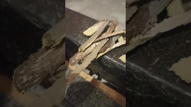 Как защитить свой дом с помощью осины смотреть онлайн