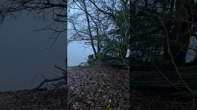 Хорошо отдохнули / Ленинградская область, озеро гусиное смотреть онлайн