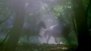 Вороной/Богун-А.Домогаров/"Огнем и мечом"